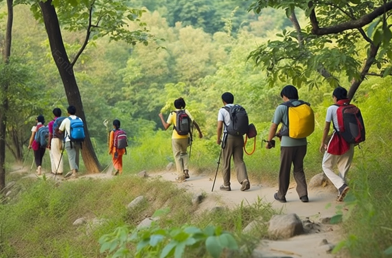 绿色一群青年人户外徒步旅行郊游摄影背景,高清,摄影图,摄影图片,图片大全,摄影图免费下载